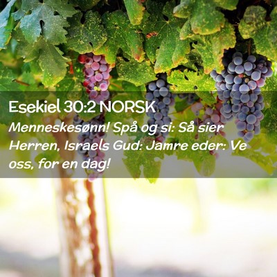 Picture 02 - Esekiel 30:2 NORSK - Menneskesønn! Spå og si: Så sier Herren, - Bible Verse Picture