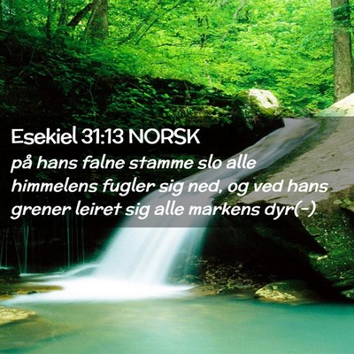 Picture 02 - Esekiel 31:13 NORSK - på hans falne stamme slo alle himmelens fugler - Bible Verse Picture