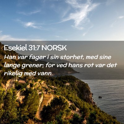 Picture 02 - Esekiel 31:7 NORSK - Han var fager i sin storhet, med sine lange - Bible Verse Picture