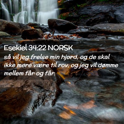 Picture 02 - Esekiel 34:22 NORSK - så vil jeg frelse min hjord, og de skal ikke - Bible Verse Picture