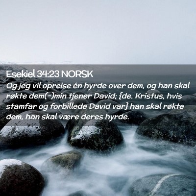 Picture 02 - Esekiel 34:23 NORSK - Og jeg vil opreise én hyrde over dem, og han - Bible Verse Picture