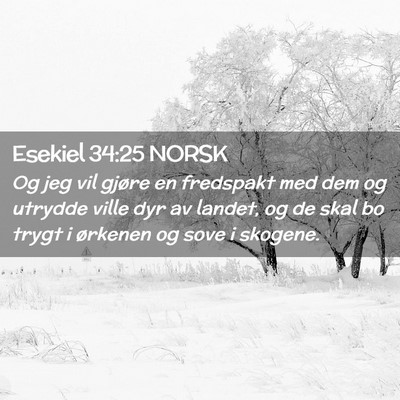 Picture 02 - Esekiel 34:25 NORSK - Og jeg vil gjøre en fredspakt med dem og utrydde - Bible Verse Picture