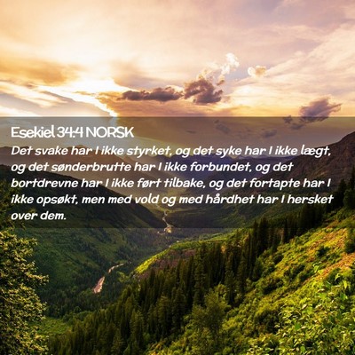 Picture 02 - Esekiel 34:4 NORSK - Det svake har I ikke styrket, og det syke har I - Bible Verse Picture