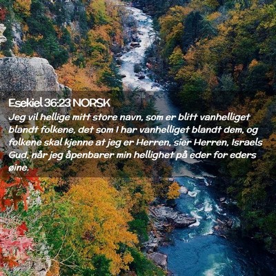 Picture 02 - Esekiel 36:23 NORSK - Jeg vil hellige mitt store navn, som er blitt - Bible Verse Picture