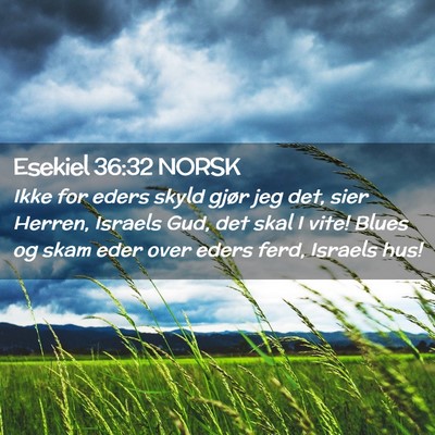 Picture 02 - Esekiel 36:32 NORSK - Ikke for eders skyld gjør jeg det, sier Herren, - Bible Verse Picture