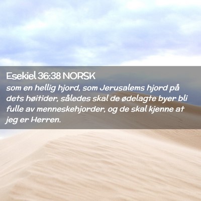 Picture 02 - Esekiel 36:38 NORSK - som en hellig hjord, som Jerusalems hjord på - Bible Verse Picture