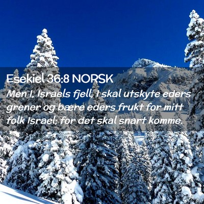 Picture 02 - Esekiel 36:8 NORSK - Men I, Israels fjell, I skal utskyte eders grener - Bible Verse Picture