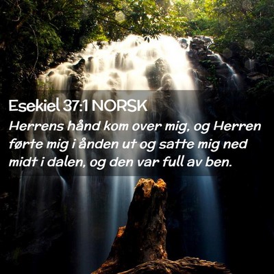 Picture 02 - Esekiel 37:1 NORSK - Herrens hånd kom over mig, og Herren førte mig - Bible Verse Picture