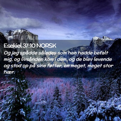 Picture 02 - Esekiel 37:10 NORSK - Og jeg spådde således som han hadde befalt mig, - Bible Verse Picture
