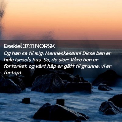 Picture 02 - Esekiel 37:11 NORSK - Og han sa til mig: Menneskesønn! Disse ben er - Bible Verse Picture