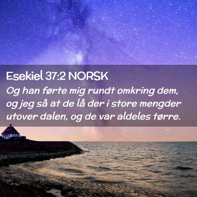 Picture 02 - Esekiel 37:2 NORSK - Og han førte mig rundt omkring dem, og jeg så - Bible Verse Picture