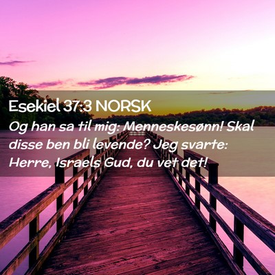 Picture 02 - Esekiel 37:3 NORSK - Og han sa til mig: Menneskesønn! Skal disse ben - Bible Verse Picture