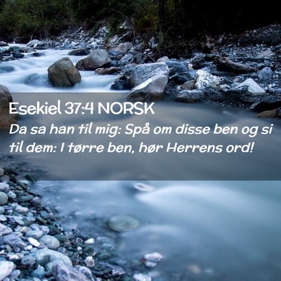 Picture 02 - Esekiel 37:4 NORSK - Da sa han til mig: Spå om disse ben og si til - Bible Verse Picture
