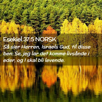 Picture 02 - Esekiel 37:5 NORSK - Så sier Herren, Israels Gud, til disse ben: Se, - Bible Verse Picture