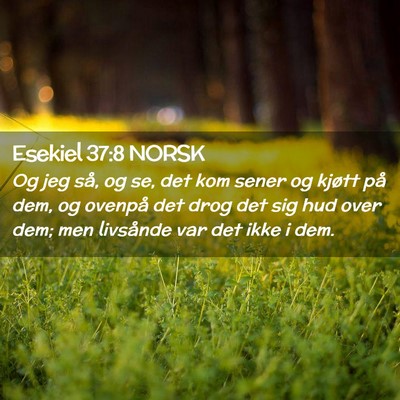 Picture 02 - Esekiel 37:8 NORSK - Og jeg så, og se, det kom sener og kjøtt på - Bible Verse Picture