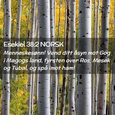 Picture 02 - Esekiel 38:2 NORSK - Menneskesønn! Vend ditt åsyn mot Gog i Magogs - Bible Verse Picture