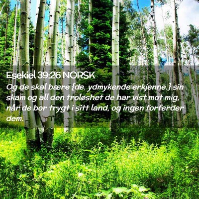 Picture 02 - Esekiel 39:26 NORSK - Og de skal bære {de. ydmykende erkjenne.} sin - Bible Verse Picture