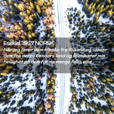Picture 02 - Esekiel 39:27 NORSK - Når jeg fører dem tilbake fra folkene og samler - Bible Verse Picture