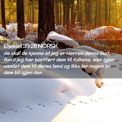 Picture 02 - Esekiel 39:28 NORSK - da skal de kjenne at jeg er Herren deres Gud, - Bible Verse Picture