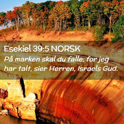 Picture 02 - Esekiel 39:5 NORSK - På marken skal du falle; for jeg har talt, sier - Bible Verse Picture