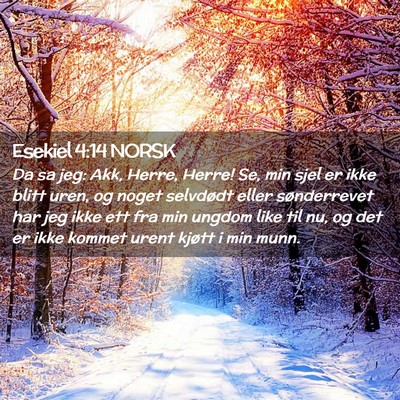 Picture 02 - Esekiel 4:14 NORSK - Da sa jeg: Akk, Herre, Herre! Se, min sjel er - Bible Verse Picture