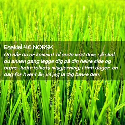 Picture 02 - Esekiel 4:6 NORSK - Og når du er kommet til ende med dem, så skal - Bible Verse Picture