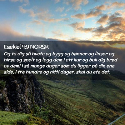 Picture 02 - Esekiel 4:9 NORSK - Og ta dig så hvete og bygg og bønner og linser - Bible Verse Picture