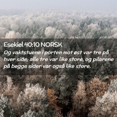 Picture 02 - Esekiel 40:10 NORSK - Og vaktstuene i porten mot øst var tre på hver - Bible Verse Picture