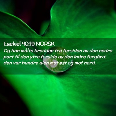 Picture 02 - Esekiel 40:19 NORSK - Og han målte bredden fra forsiden av den nedre - Bible Verse Picture