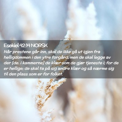 Picture 02 - Esekiel 42:14 NORSK - Når prestene går inn, skal de ikke gå ut igjen - Bible Verse Picture