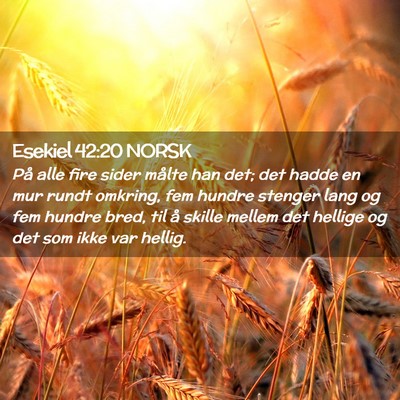 Picture 02 - Esekiel 42:20 NORSK - På alle fire sider målte han det; det hadde en - Bible Verse Picture