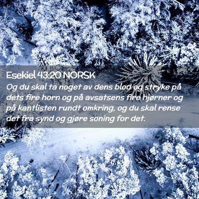 Picture 02 - Esekiel 43:20 NORSK - Og du skal ta noget av dens blod og stryke på - Bible Verse Picture