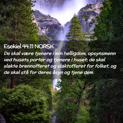 Picture 02 - Esekiel 44:11 NORSK - De skal være tjenere i min helligdom, opsynsmenn - Bible Verse Picture