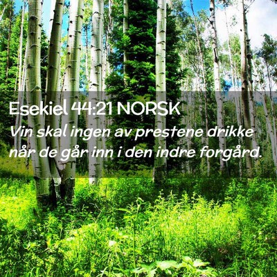 Picture 02 - Esekiel 44:21 NORSK - Vin skal ingen av prestene drikke når de går - Bible Verse Picture