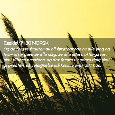 Picture 02 - Esekiel 44:30 NORSK - Og de første frukter av all førstegrøde av - Bible Verse Picture