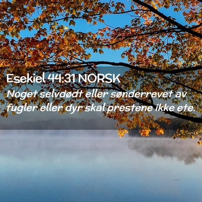Picture 02 - Esekiel 44:31 NORSK - Noget selvdødt eller sønderrevet av fugler - Bible Verse Picture