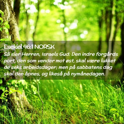 Picture 02 - Esekiel 46:1 NORSK - Så sier Herren, Israels Gud: Den indre forgårds - Bible Verse Picture