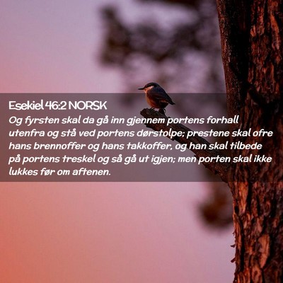 Picture 02 - Esekiel 46:2 NORSK - Og fyrsten skal da gå inn gjennem portens - Bible Verse Picture