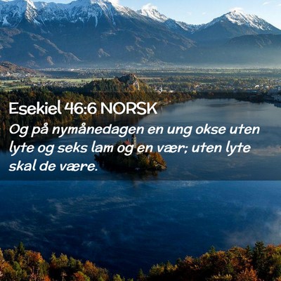 Picture 02 - Esekiel 46:6 NORSK - Og på nymånedagen en ung okse uten lyte og seks - Bible Verse Picture