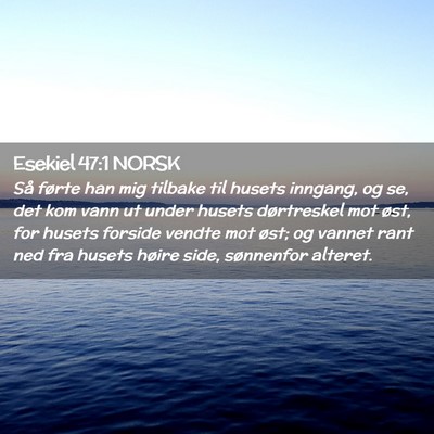Picture 02 - Esekiel 47:1 NORSK - Så førte han mig tilbake til husets inngang, og - Bible Verse Picture