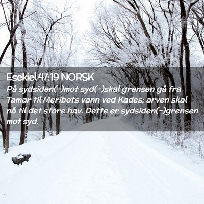 Picture 02 - Esekiel 47:19 NORSK - På sydsiden(-)mot syd(-)skal grensen gå fra - Bible Verse Picture
