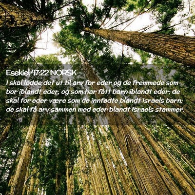 Picture 02 - Esekiel 47:22 NORSK - I skal lodde det ut til arv for eder og de - Bible Verse Picture