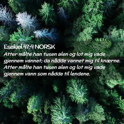 Picture 02 - Esekiel 47:4 NORSK - Atter målte han tusen alen og lot mig vade - Bible Verse Picture