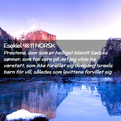 Picture 02 - Esekiel 48:11 NORSK - Prestene, dem som er helliget blandt Sadoks - Bible Verse Picture