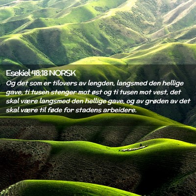 Picture 02 - Esekiel 48:18 NORSK - Og det som er tilovers av lengden, langsmed den - Bible Verse Picture