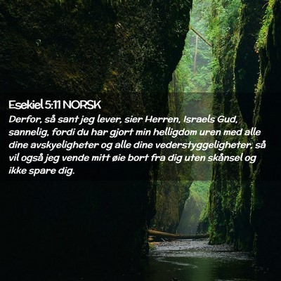 Picture 02 - Esekiel 5:11 NORSK - Derfor, så sant jeg lever, sier Herren, Israels - Bible Verse Picture