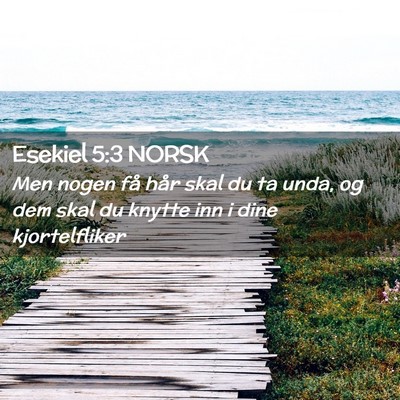 Picture 02 - Esekiel 5:3 NORSK - Men nogen få hår skal du ta unda, og dem skal - Bible Verse Picture