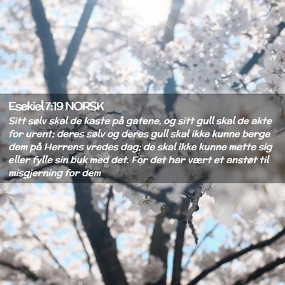Picture 02 - Esekiel 7:19 NORSK - Sitt sølv skal de kaste på gatene, og sitt gull - Bible Verse Picture