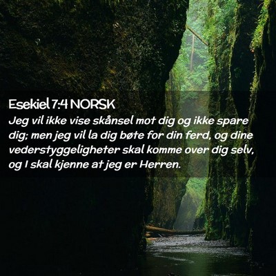 Picture 02 - Esekiel 7:4 NORSK - Jeg vil ikke vise skånsel mot dig og ikke spare - Bible Verse Picture