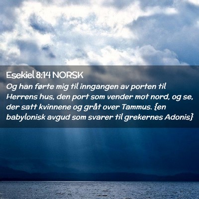 Picture 02 - Esekiel 8:14 NORSK - Og han førte mig til inngangen av porten til - Bible Verse Picture